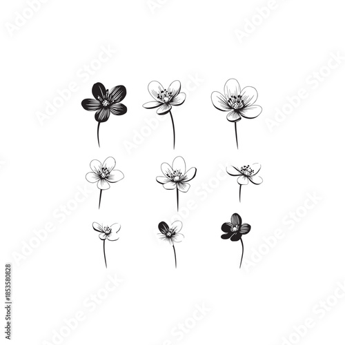 Hepatica Americana icon line art nature 