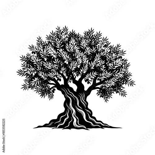 Detailed Intricate Olive Tree Silhouette Illustration With Mediterranean Botanical Foliage Graphic