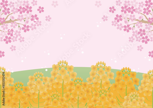 Spring landscape background with cherry blossoms and rapeseed flowers. Bright blue sky with copy space, floral frame