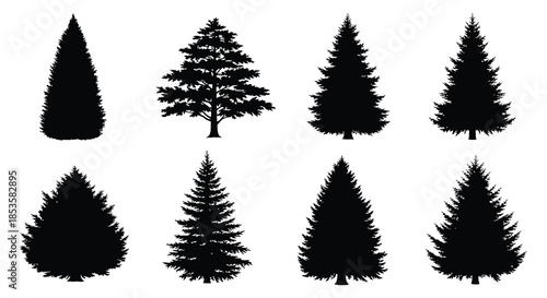 A collection of six different evergreen tree shapes presented as a stark black silhouette