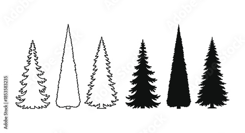 A collection of varying pine tree shapes depicted in black and white a striking silhouette