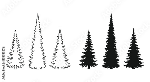 A striking arrangement of coniferous trees presented as dark minimalist shapes a beautiful silhouette