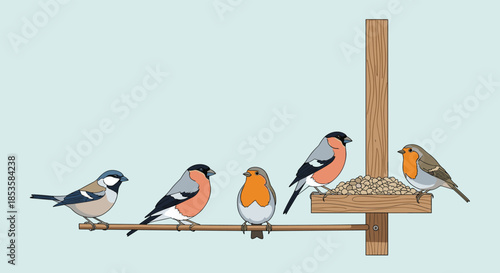 Several common garden birds, including robins, bullfinches, and a great tit, gather at a wooden feeder filled with seeds.