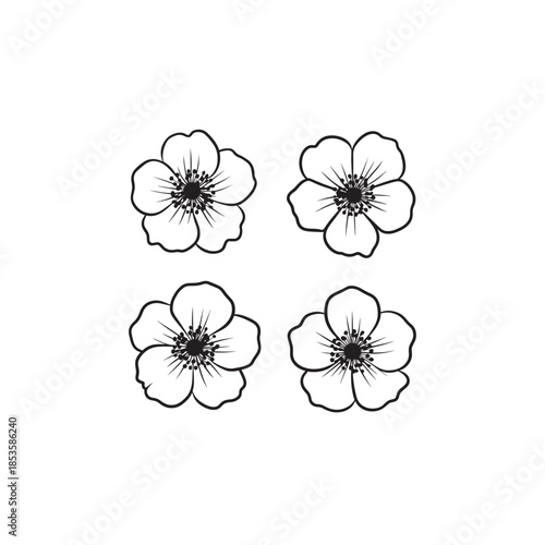 Japanese Anemone icon art simple line graphic