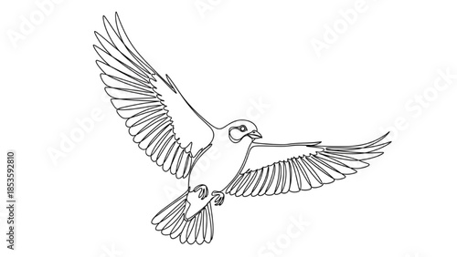 High-quality black continuous line art of bird flying with wings fully extended, freedom, motion, minimalist wildlife illustration