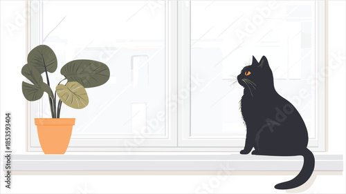 Black cat on windowsill, plant