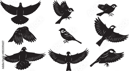 Collection of Black Bird Silhouettes in Flight and Perched