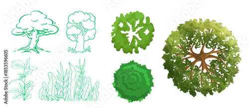 Diverse representations of trees and plants in green outline and top-down views for design projects