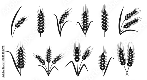 A collection of various wheat stalks and grain heads depicted in a striking black silhouette