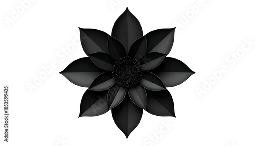 A symmetrical, stylized black flower on a stark black backdrop. Its petals are textured and layered