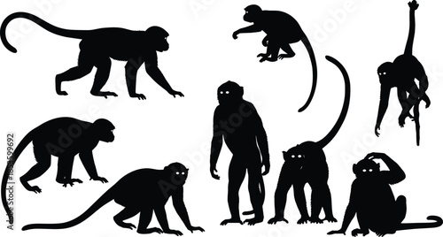 Collection of monkey silhouettes featuring primates in various poses including sitting jumping climbing and walking for wildlife graphic design projects