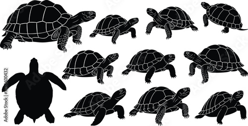 Turtle and Tortoise Silhouette Vector Set: Various Poses of Sea Turtles and Land Reptiles, Black and White Graphic Collection.