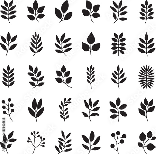 Collection of various leaf silhouettes on white background