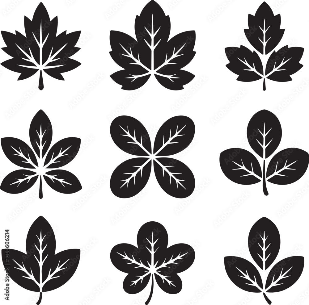 Obraz premium Collection of various black leaf silhouettes on white background