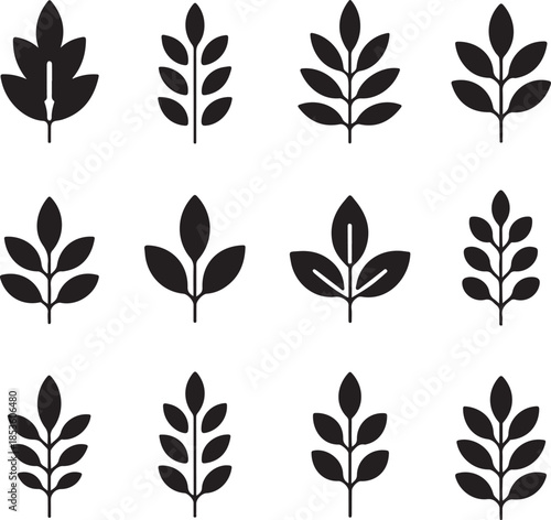Collection of various black leaf silhouettes on white background
