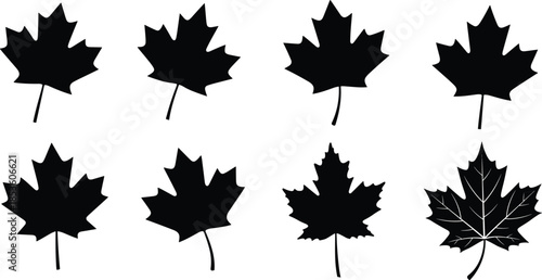 Maple, leaf, silhouette, posture, gesture, variation, setup, vector, black, pose, flavector, minimal, nature, seasonal, foliage, morphology, species, botanical, outdoor, shape, identification