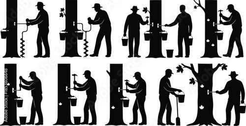 Maple, sap, collection, silhouette, posture, gesture, drill, tap, bucket, tree, leaf, setup, syrup, vector, black, pose, flavector, minimal, harvest, tradition, process