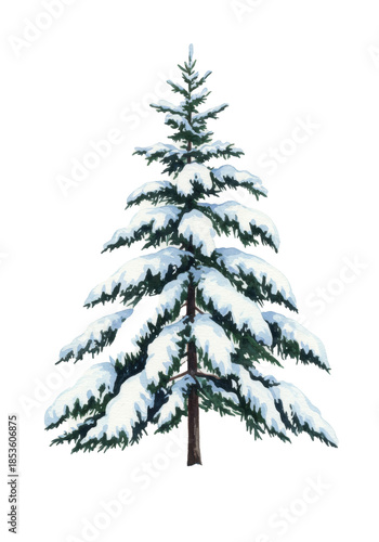Watercolor painting of a tall conical spruce tree burdened by thick white snow, rendered with wet-on-wet technique against a seamless transparent background. Elegant winter holiday concept