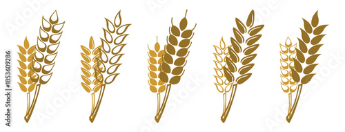 grain wheat icon