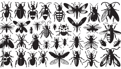 black color insect set silhouette vector illustration, solid white background