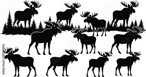 Moose, forest, silhouette, posture, gesture, antler, wildlife, nature, animal, setup, vector, black, pose, flavector, minimal, wilderness, North, American, fauna, tree, habitat