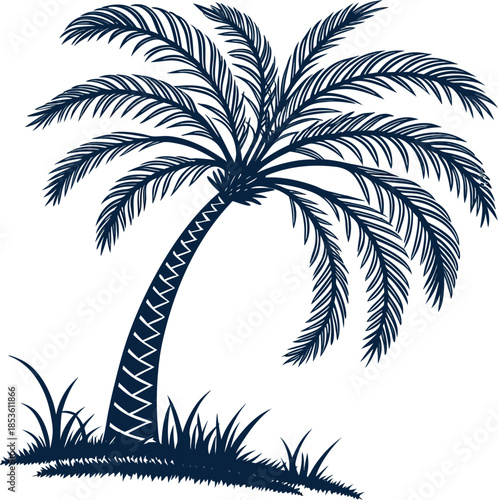 create-a-plam-tree-without-white-background-silhouette vector design