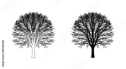 A striking comparison of two trees one light and one dark presented as a silhouette