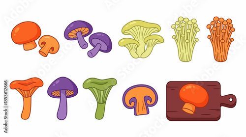 Collection of colorful cartoon mushroom illustrations on white background, concept for healthy eating guide, organic food packaging, and culinary website icons