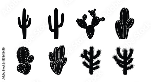 Stylized black silhouettes of various desert cacti and succulents