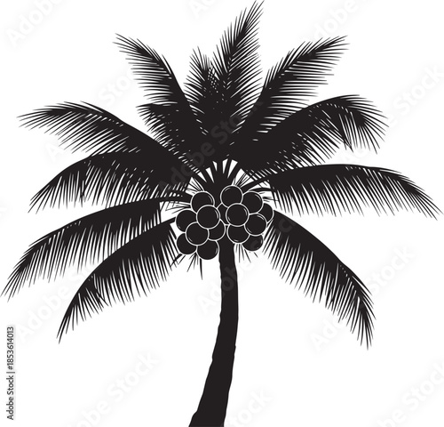 Empty vector file display