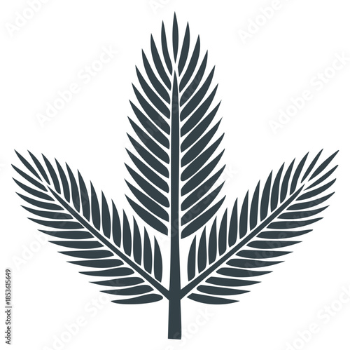 Stylized Palm Leaf Fronds, Tropical Decorative Element, Botany Design, Greenery