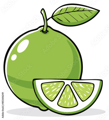 Cartoon illustration of a pomelo and a wedge with an eye-catching design and bold outlines and shading
