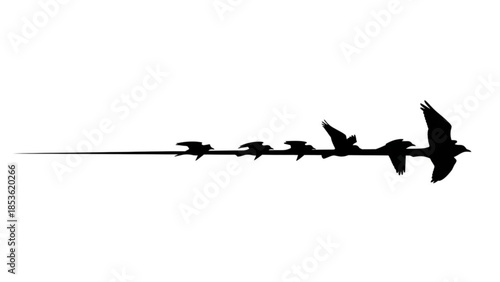 Silhouette of a flock of birds flying in a line on a