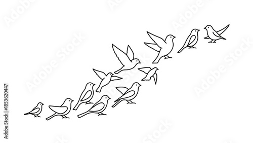A flock of birds flying in a line formation