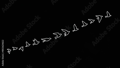 A flock of birds flying in formation on a