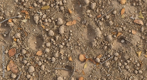 Detailed close-up of dry, modified softwareed earth with scattered pebbles, dry leaves, and sparse twigs, showing textured soil patterns and natural ground details.