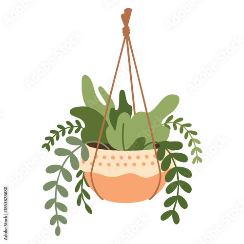 Hanging ceramic flower pot with house plant vector illustration on white background suitable for home office interior decoration or design element