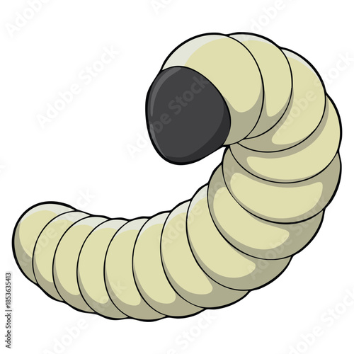 Maggot or larva isolated on white background detailed vector illustration ideal for science biology insect learning educational material and lifecycle themed artwork