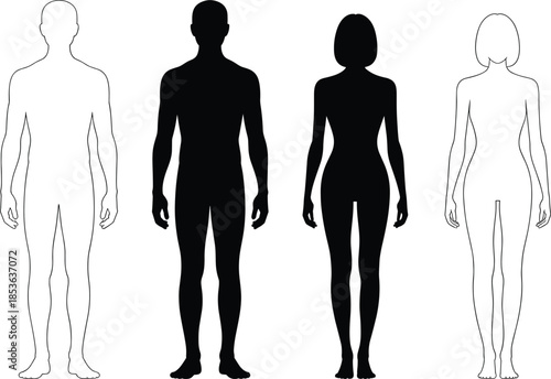 Male and female human body silhouette and outline figures, anatomy comparison, gender differences, proportion study, medical, fitness illustration vector set
