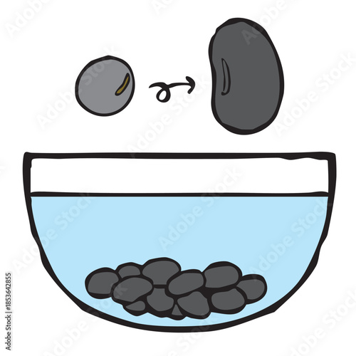 調理手順_豆を水に浸す_小豆・金時豆・小豆・大豆・青豆　beans