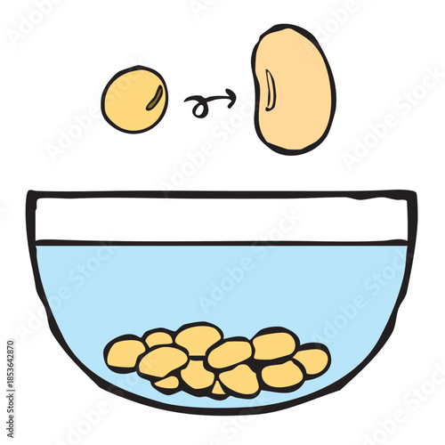 調理手順_豆を水に浸す_小豆・金時豆・小豆・大豆・青豆　beans