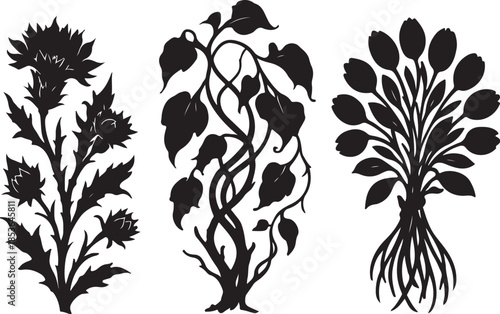 Ancient Forest Crown Series Massive Botanical Silhouette.eps