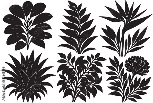 Rainforest Overgrowth Bloomstorm.eps