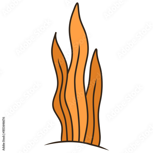 marine plants illustration