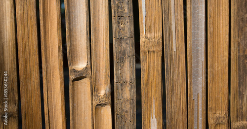 Close up of a bamboo fence made of wood planks in a garden