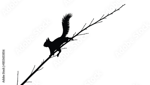 Black Silhouette of a Squirrel Climbing on a Tree Branch Isolated on White Background