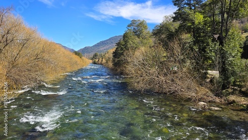 Stunning view of Río Maichín on a sunny day in southern Chile. Clear river waters, surrounding forest, and bright natural light create a vibrant and peaceful landscape.