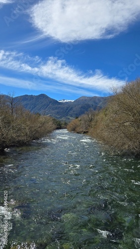 Stunning view of Río Maichín on a sunny day in southern Chile. Clear river waters, surrounding forest, and bright natural light create a vibrant and peaceful landscape.