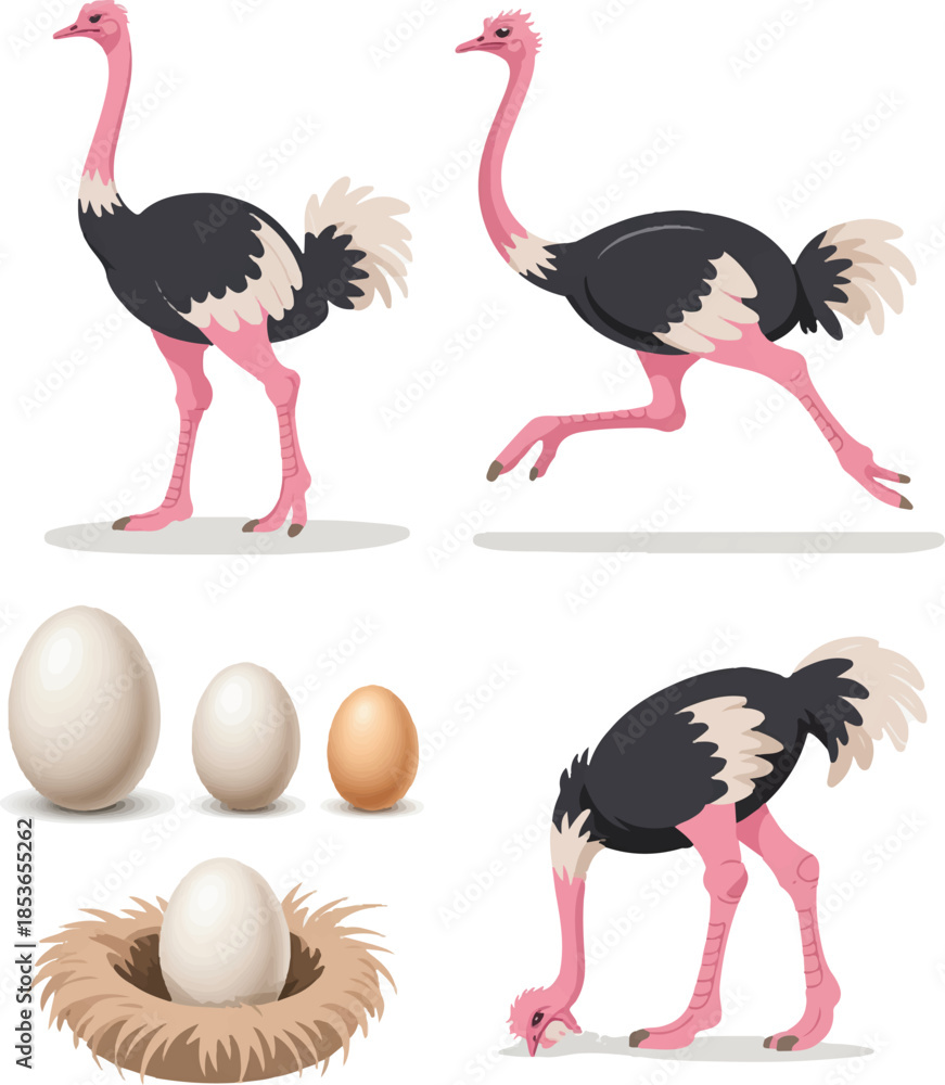 Naklejka premium set of cartoon birds