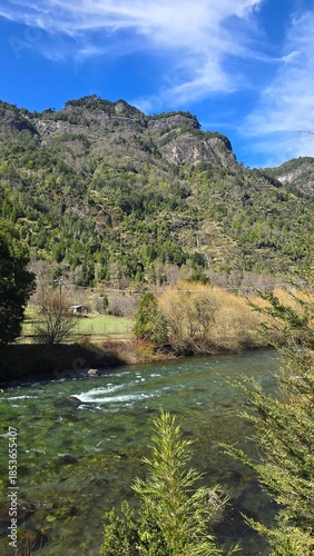 Stunning view of Río Maichín on a sunny day in southern Chile. Clear river waters, surrounding forest, and bright natural light create a vibrant and peaceful landscape.